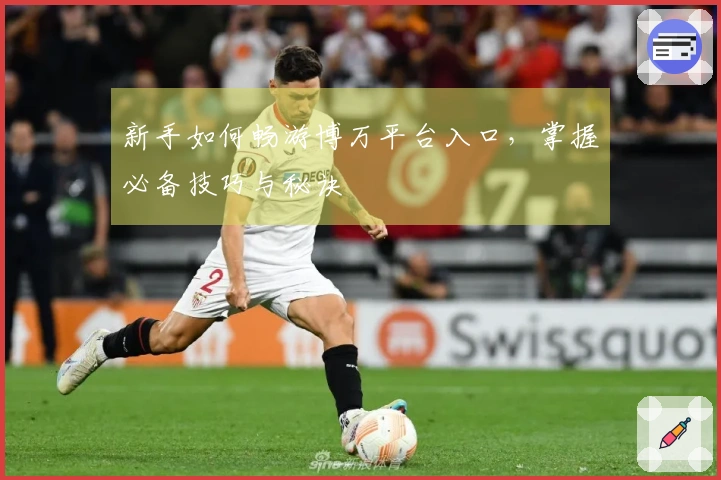 新手如何畅游博万平台入口，掌握必备技巧与秘诀