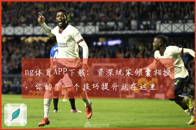 ng体育APP下载：资深玩家倾囊相授，你的下一个技巧提升就在这里