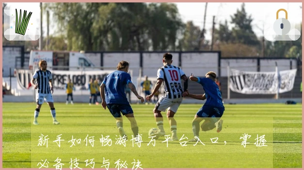 新手如何畅游博万平台入口，掌握必备技巧与秘诀