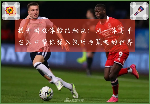 提升游戏体验的秘诀：必一体育平台入口带你深入技巧与策略的世界